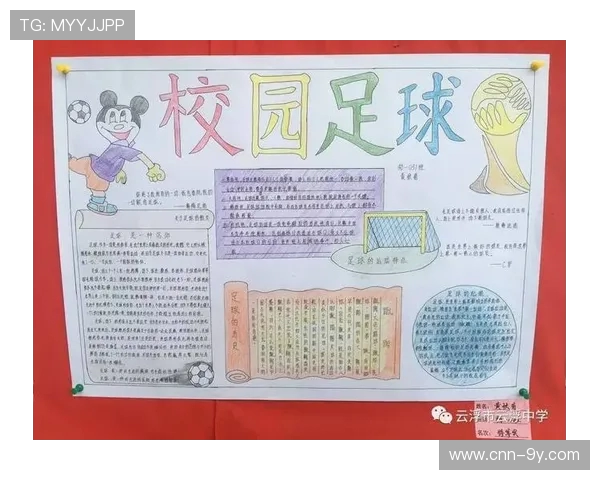 围绕足球大连人数变化探究城市体育文化发展趋势的多维影响与未来路径